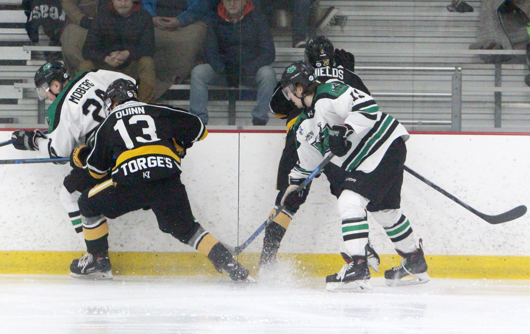 Austin Bruins at Chippewa Steel 1-25-20